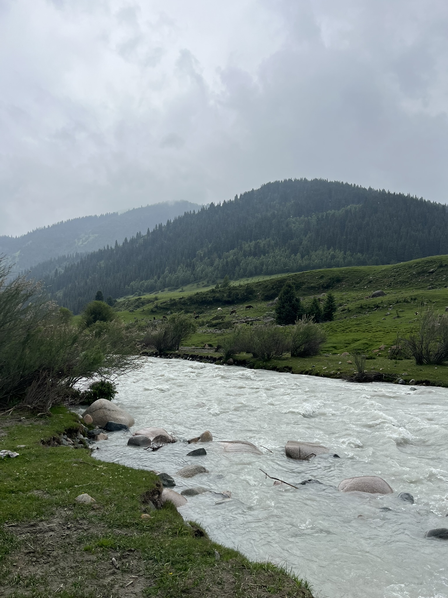 rivier