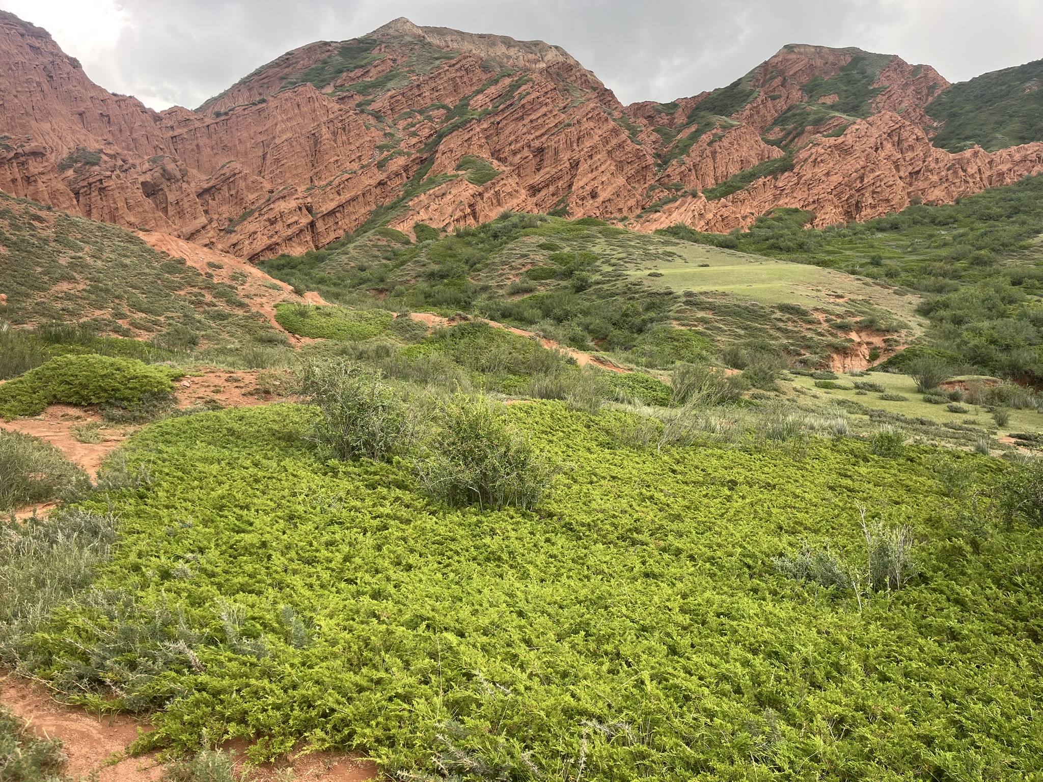 red mountains